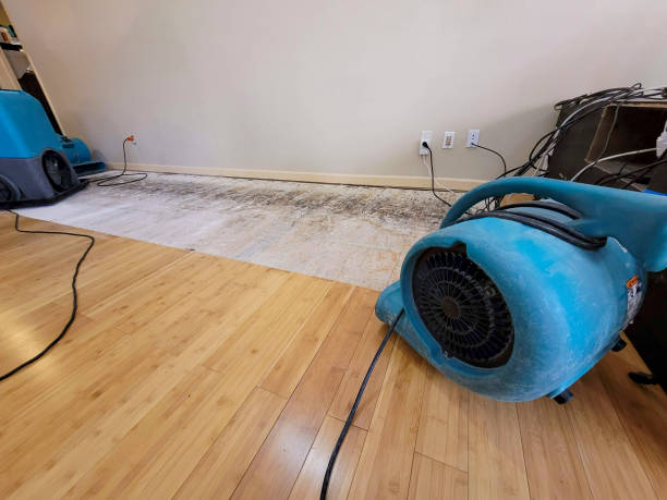 Professional Burst Pipe Water Damage technician working in Osceola, IN